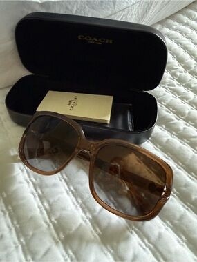 COACH Women's Light Brown Gradient Oversized Sunglasses